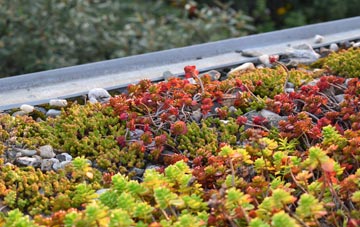 the cost of Langbank green roof installation