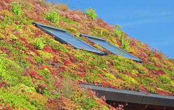 Langbank living roof systems